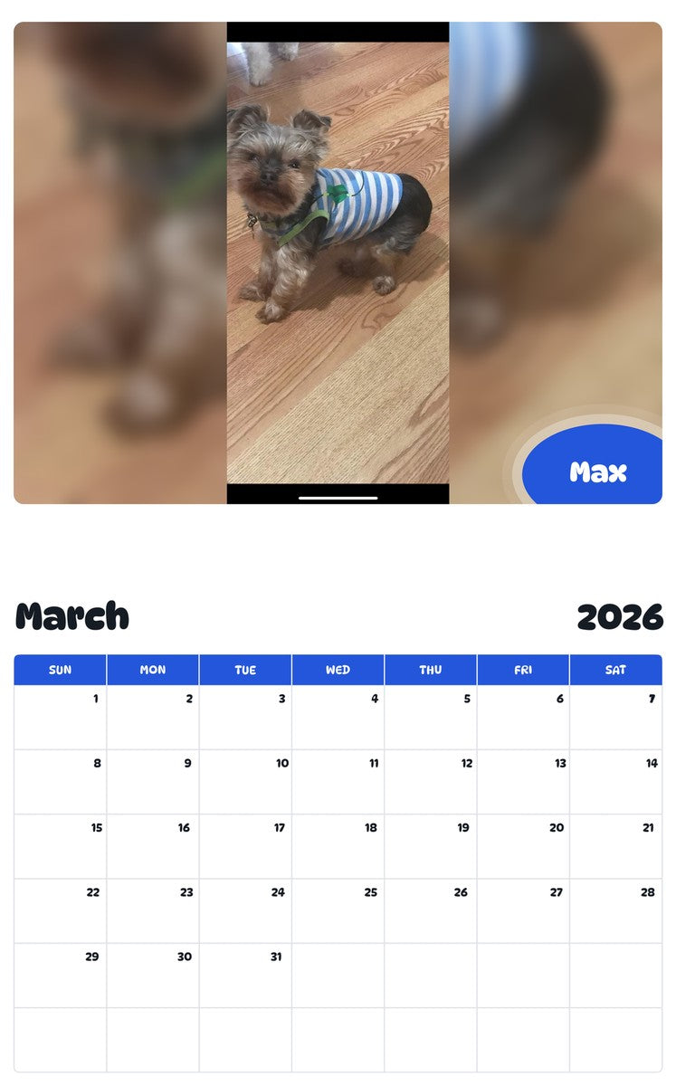 November 2025 - October 2026 Max - Pawidols Pet Calendar