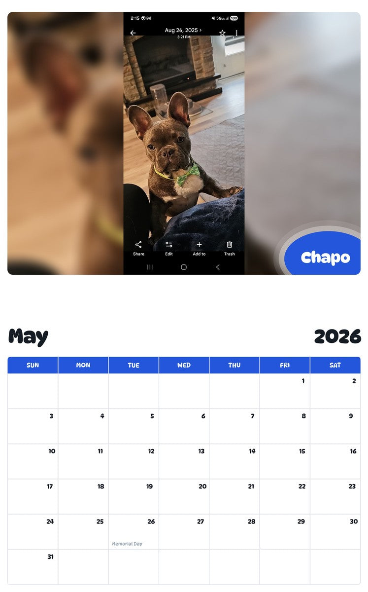 2026 - 2027 Chapo - Pawidols Pet Calendar