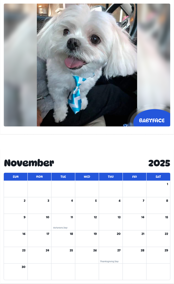 July 2025 - June 2026 BabyFace - Pawidols Pet Calendar