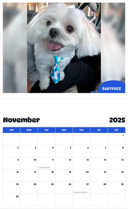 July 2025 - June 2026 BabyFace - Pawidols Pet Calendar