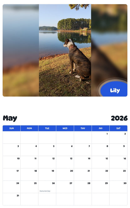 2026 - 2027 Lily - Pawidols Pet Calendar