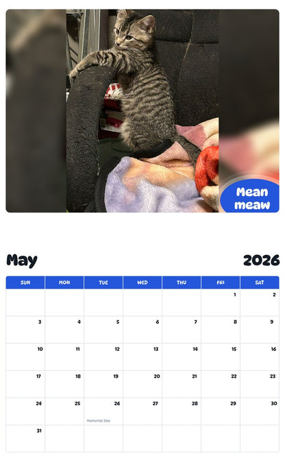 2026 - 2027 Mean meaw - Pawidols Pet Calendar