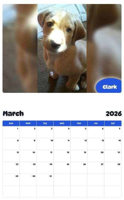 November 2025 - October 2026 Clark - Pawidols Pet Calendar