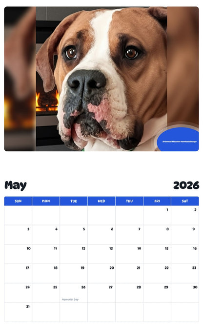 2026 - 2027 Sir Samuel Theodore Vannhasselburger - Pawidols Pet Calendar