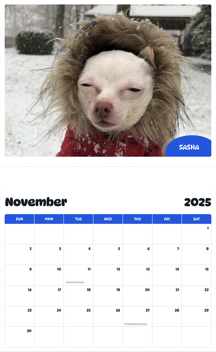 July 2025 - June 2026 Sasha - Pawidols Pet Calendar
