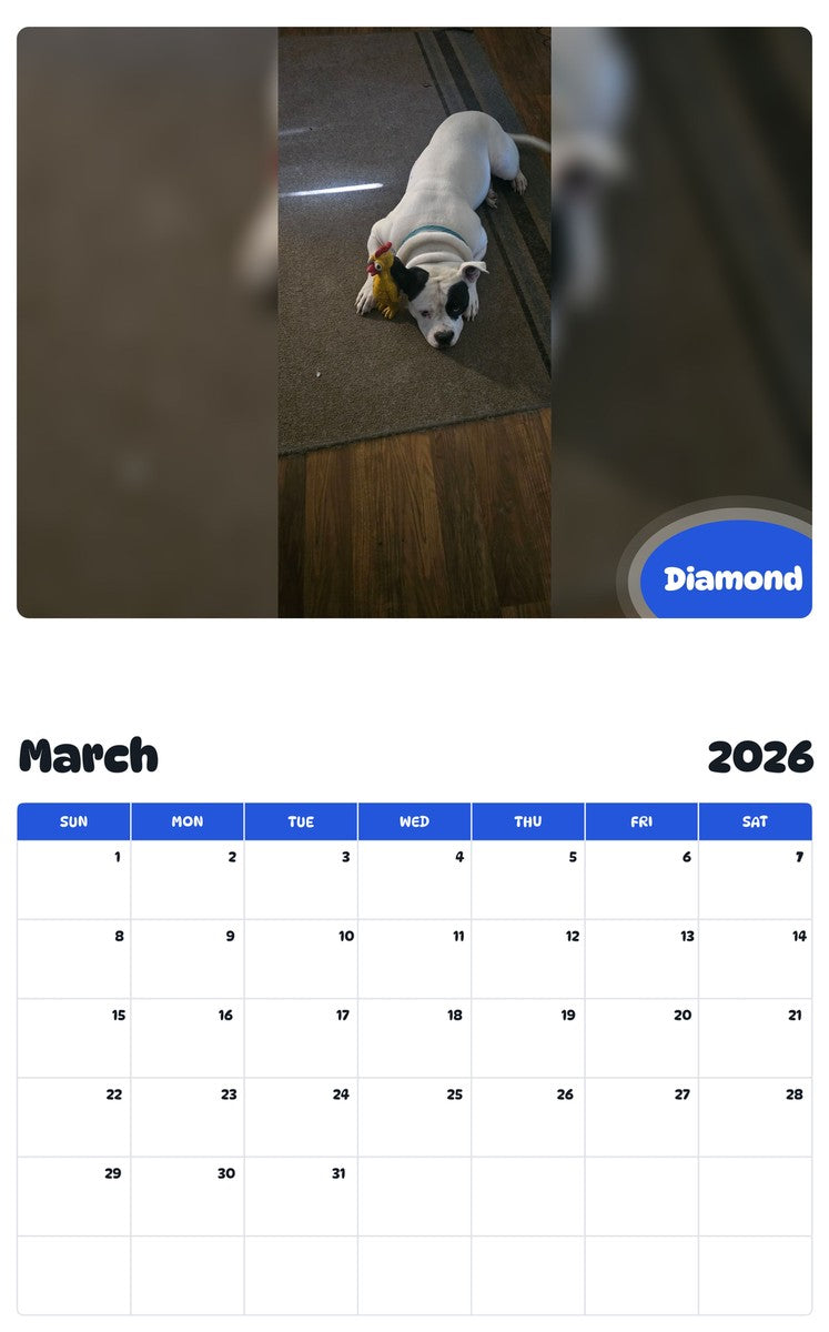 November 2025 - October 2026 Diamond - Pawidols Pet Calendar