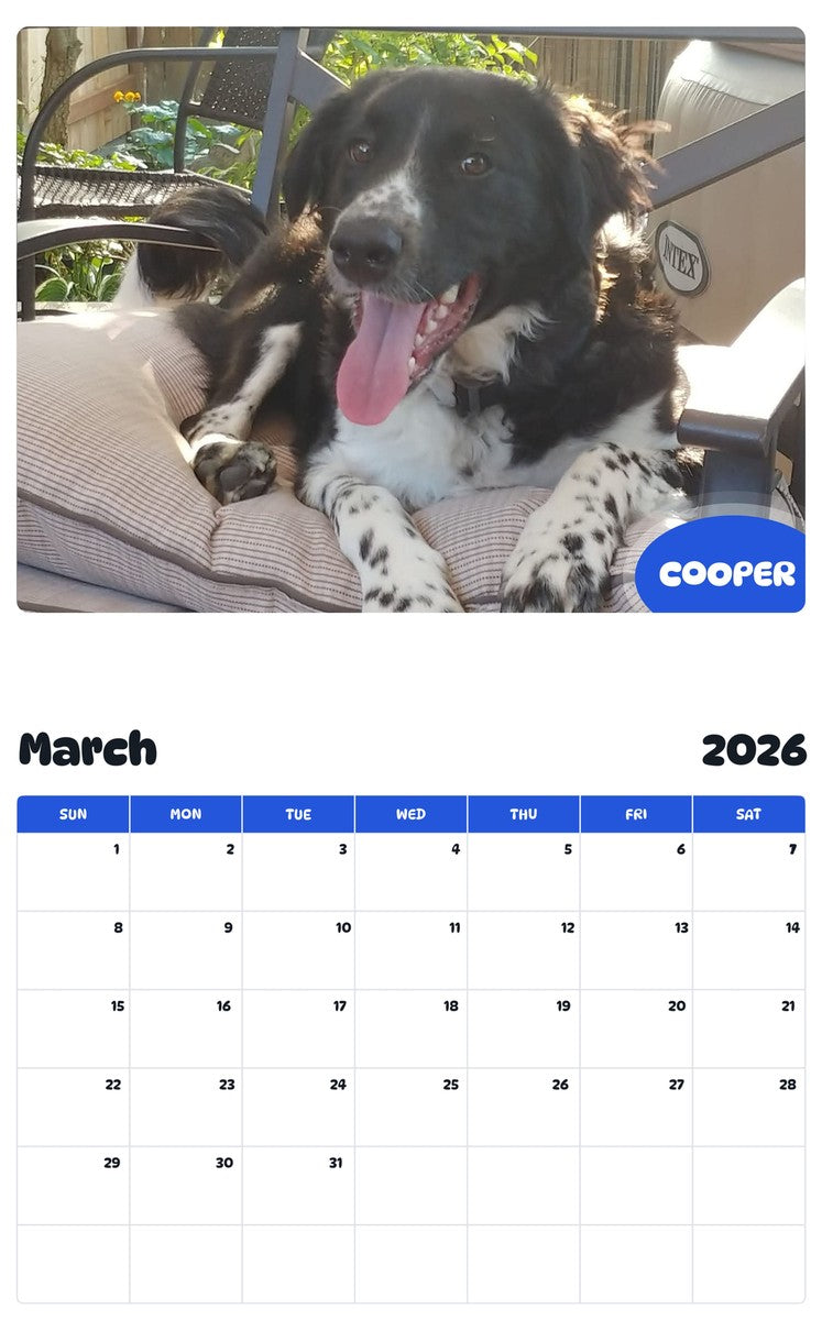 November 2025 - October 2026 COOPER - Pawidols Pet Calendar