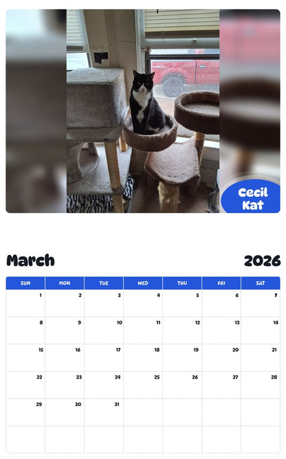 November 2025 - October 2026 Cecil Kat - Pawidols Pet Calendar