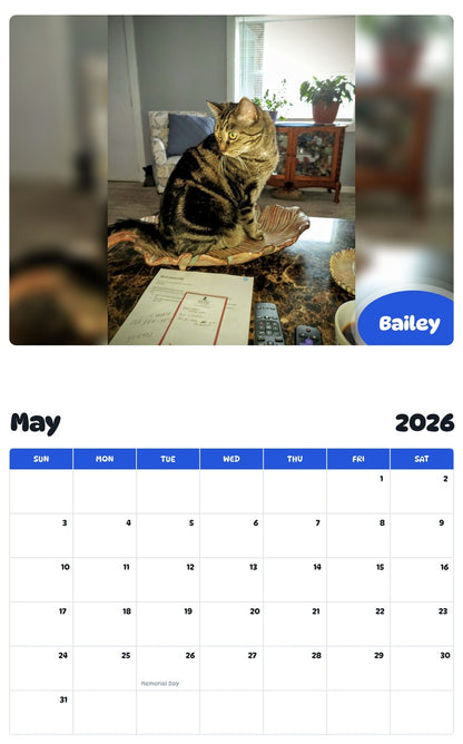 2026 - 2027 Bailey - Pawidols Pet Calendar