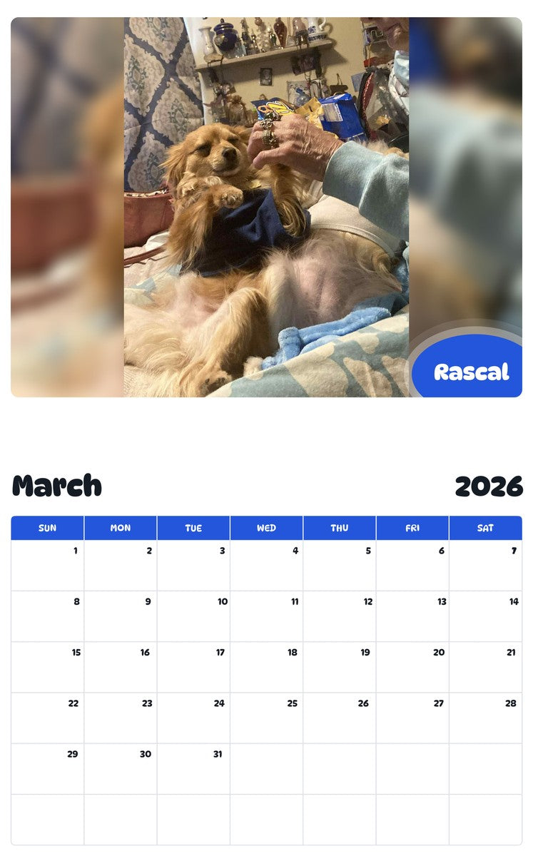 November 2025 - October 2026 Rascal - Pawidols Pet Calendar