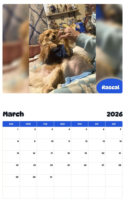 November 2025 - October 2026 Rascal - Pawidols Pet Calendar