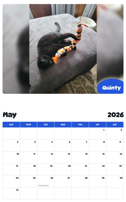 2026 - 2027 Quinty - Pawidols Pet Calendar