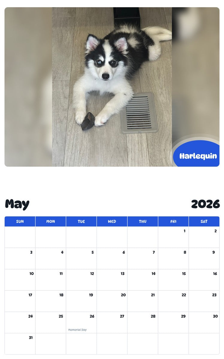 2026 - 2027 Harlequin - Pawidols Pet Calendar