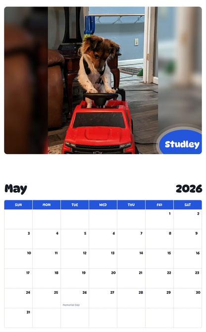 2026 - 2027 Studley - Pawidols Pet Calendar