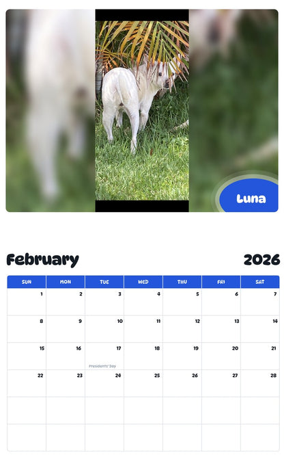 October 2025 - September 2026 Luna - Pawidols Pet Calendar