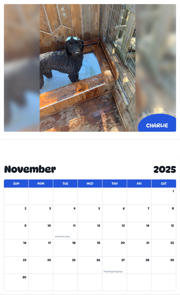 July 2025 - June 2026 Charlie - Pawidols Pet Calendar