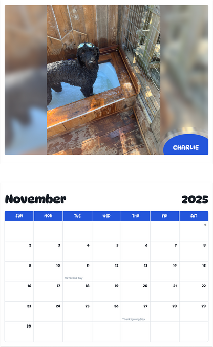 July 2025 - June 2026 Charlie - Pawidols Pet Calendar