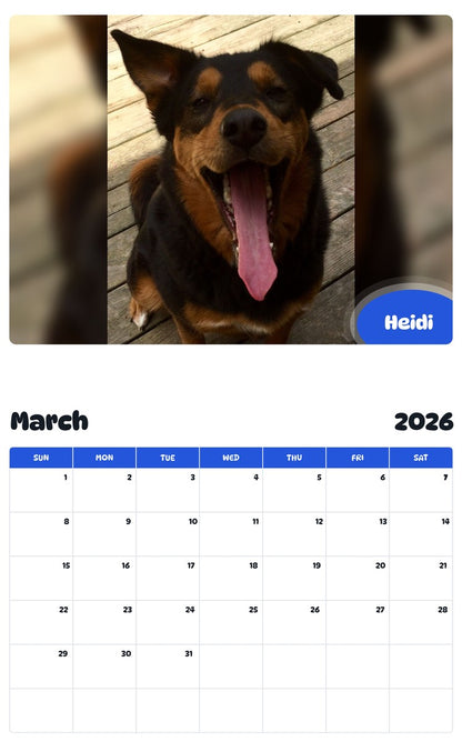 November 2025 - October 2026 Heidi - Pawidols Pet Calendar