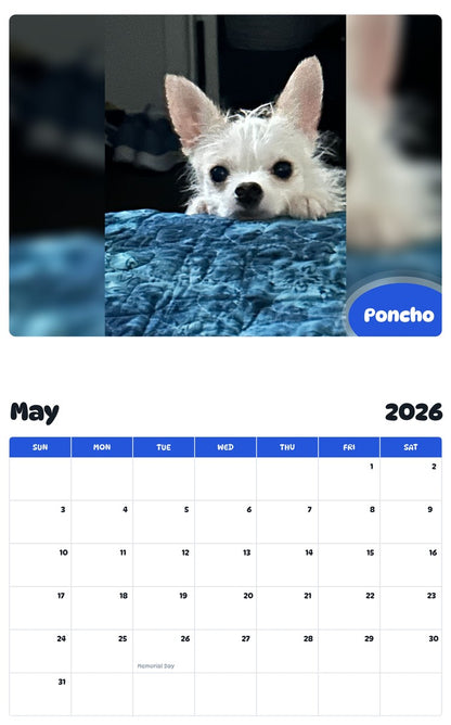 2026 - 2027 Poncho - Pawidols Pet Calendar