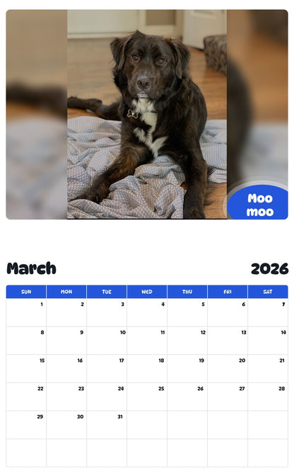 November 2025 - October 2026 Moo moo - Pawidols Pet Calendar