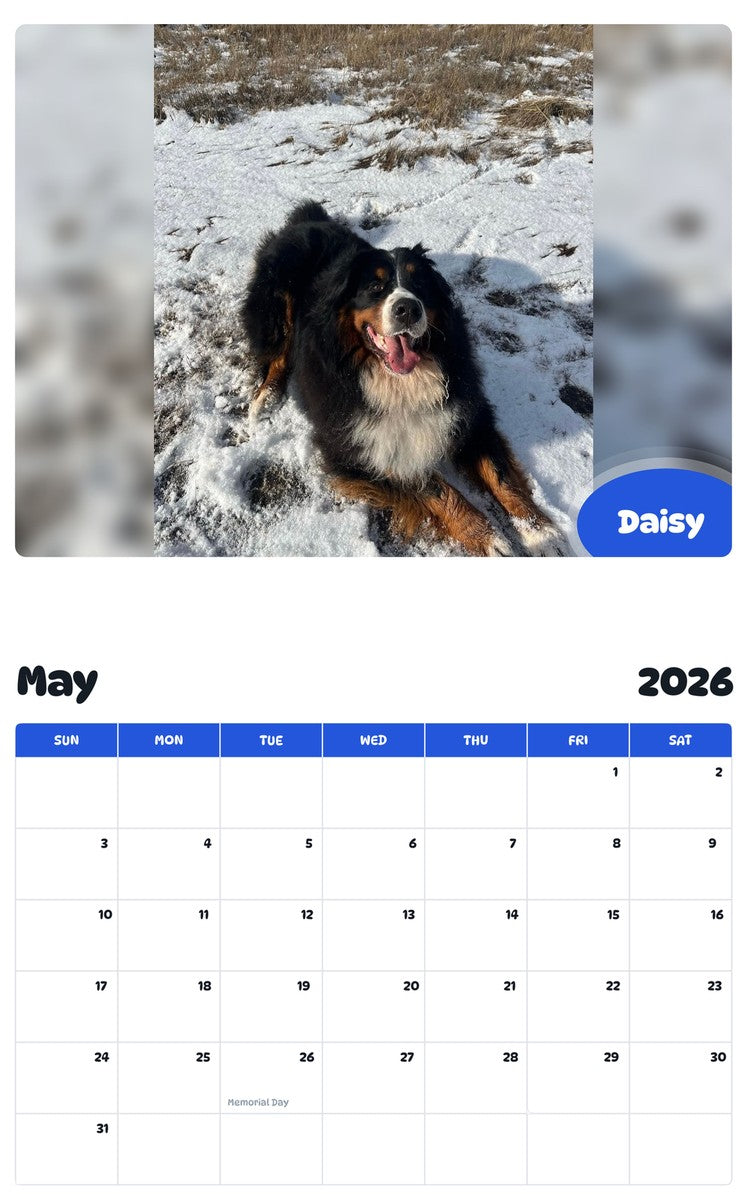 2026 - 2027 Daisy - Pawidols Pet Calendar