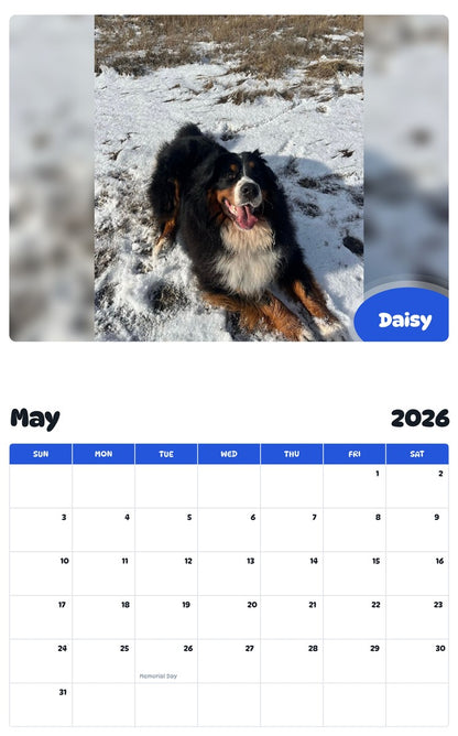2026 - 2027 Daisy - Pawidols Pet Calendar