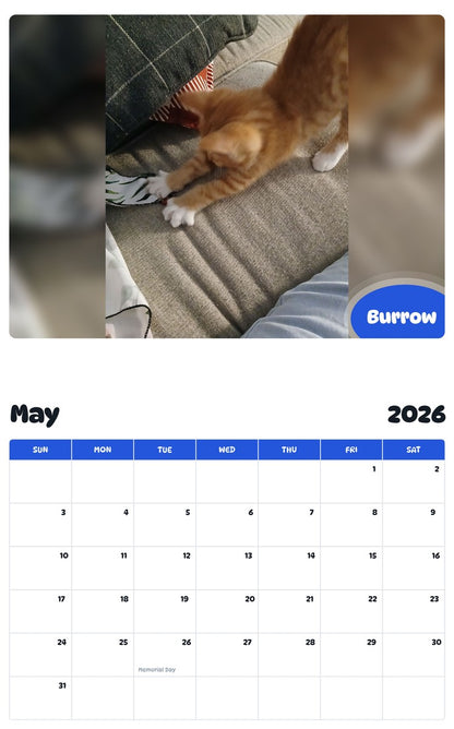 2026 - 2027 Burrow - Pawidols Pet Calendar
