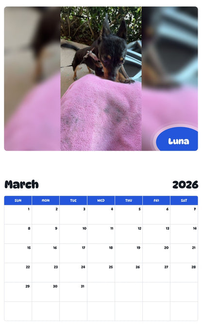 November 2025 - October 2026 Luna - Pawidols Pet Calendar