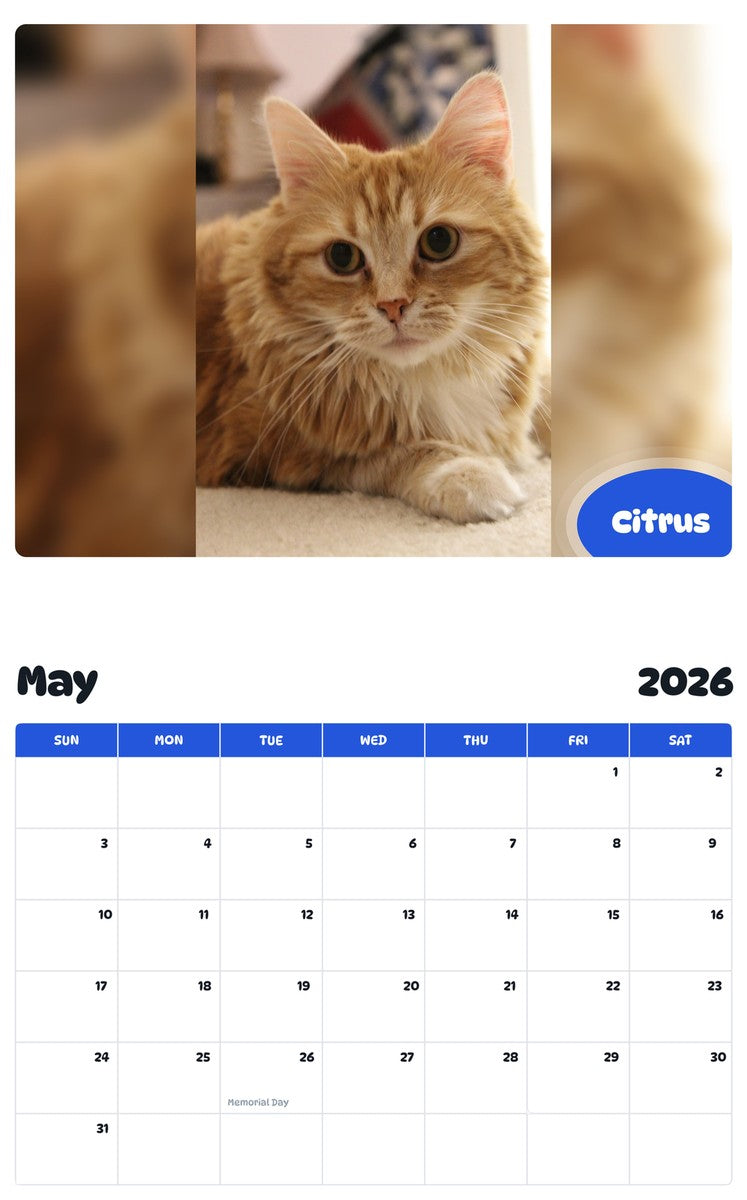 2026 - 2027 Citrus - Pawidols Pet Calendar