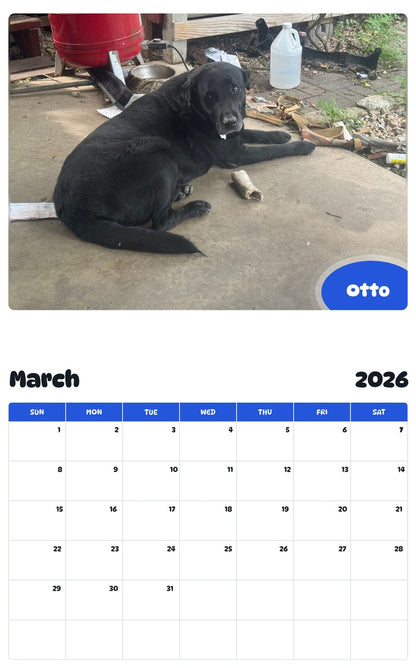 November 2025 - October 2026 Otto - Pawidols Pet Calendar
