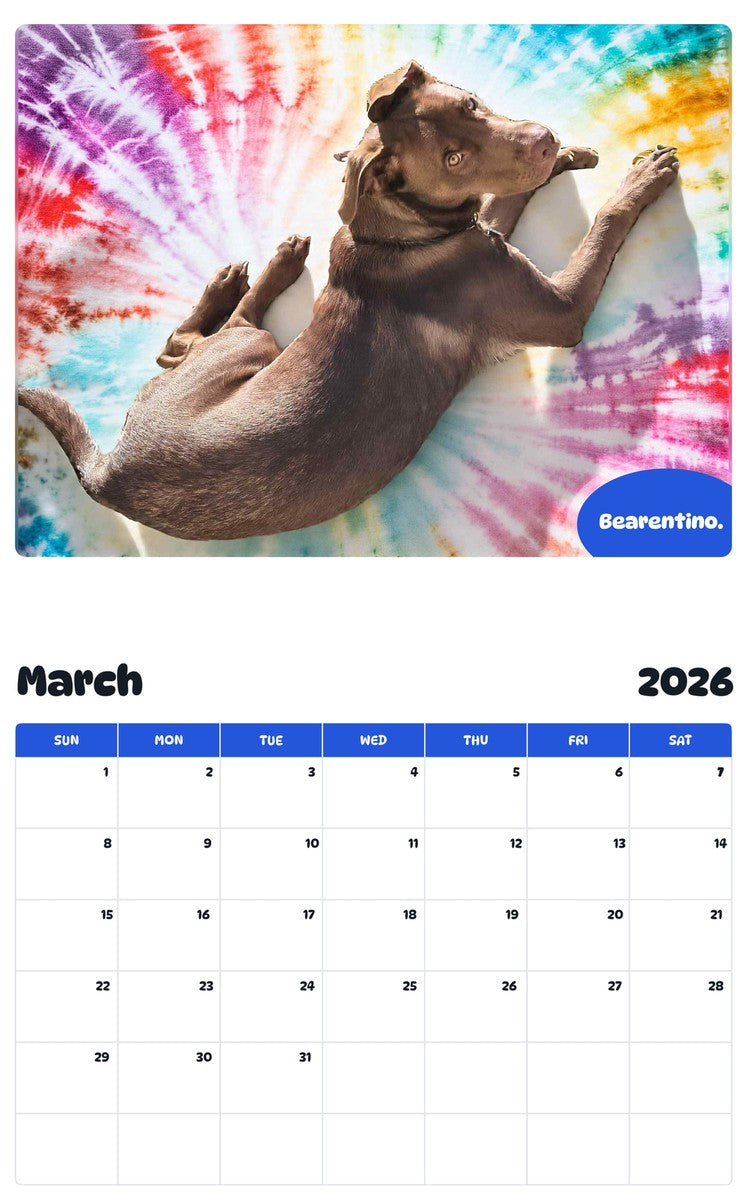 November 2025 - October 2026 Bearentino. - Pawidols Pet Calendar