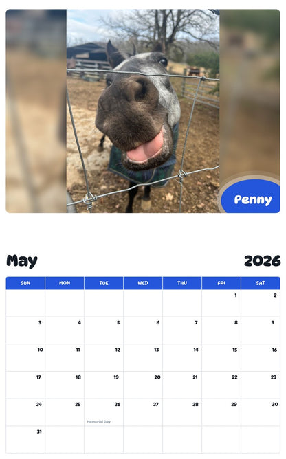 2026 - 2027 Penny - Pawidols Pet Calendar