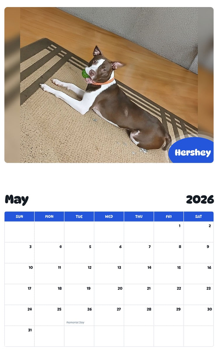 2026 - 2027 Hershey - Pawidols Pet Calendar
