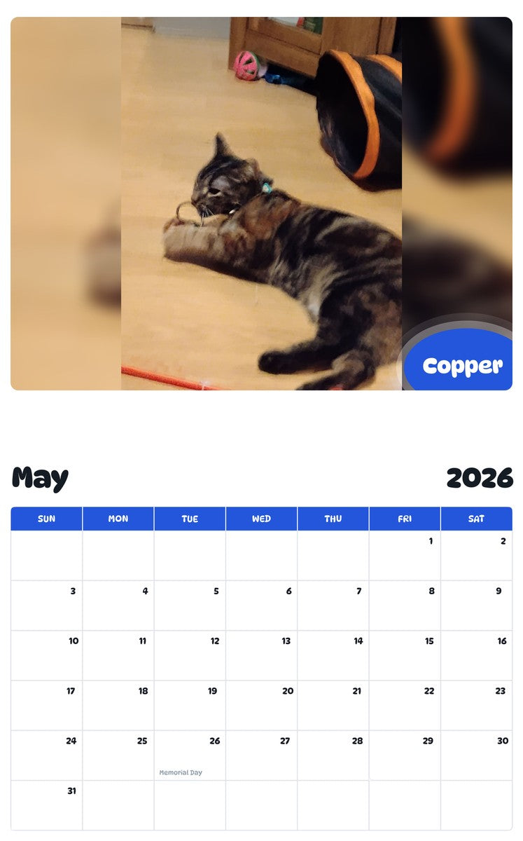 2026 - 2027 Copper - Pawidols Pet Calendar