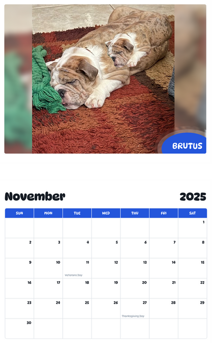 July 2025 - June 2026 Brutus - Pawidols Pet Calendar