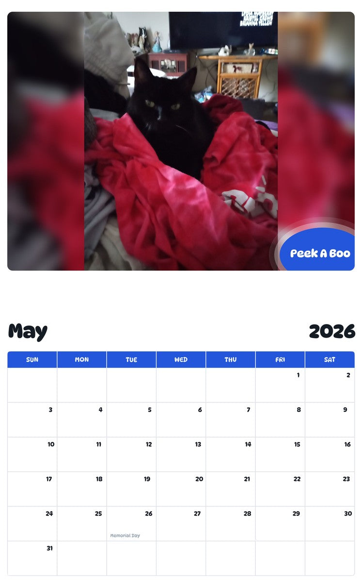 2026 - 2027 Peek A Boo - Pawidols Pet Calendar