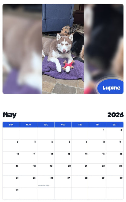 2026 - 2027 Lupine - Pawidols Pet Calendar