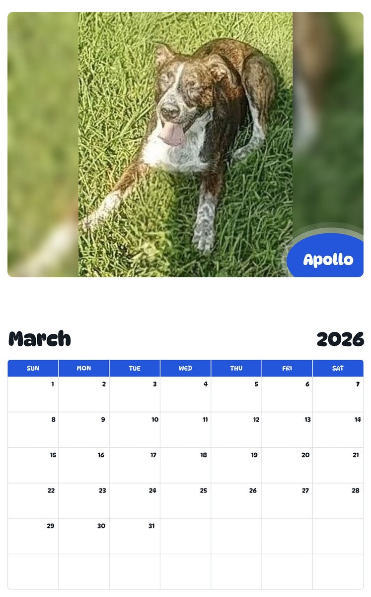 November 2025 - October 2026 Apollo - Pawidols Pet Calendar