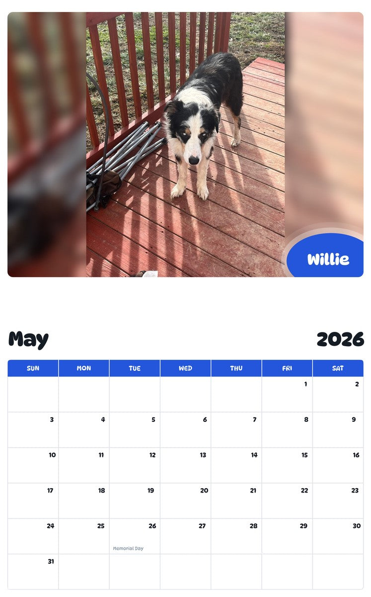 2026 - 2027 Willie - Pawidols Pet Calendar