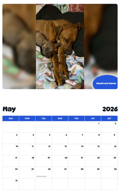 2026 - 2027 Chachi and Mamas - Pawidols Pet Calendar