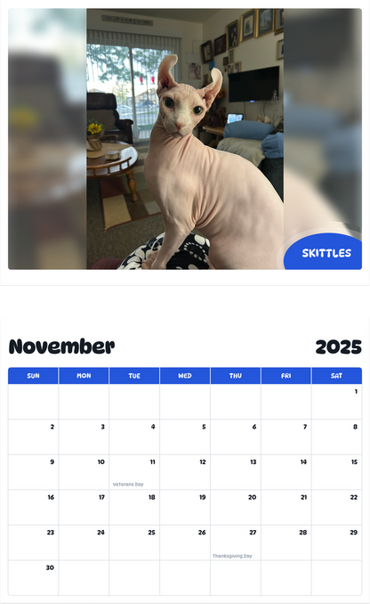 July 2025 - June 2026 Skittles - Pawidols Pet Calendar