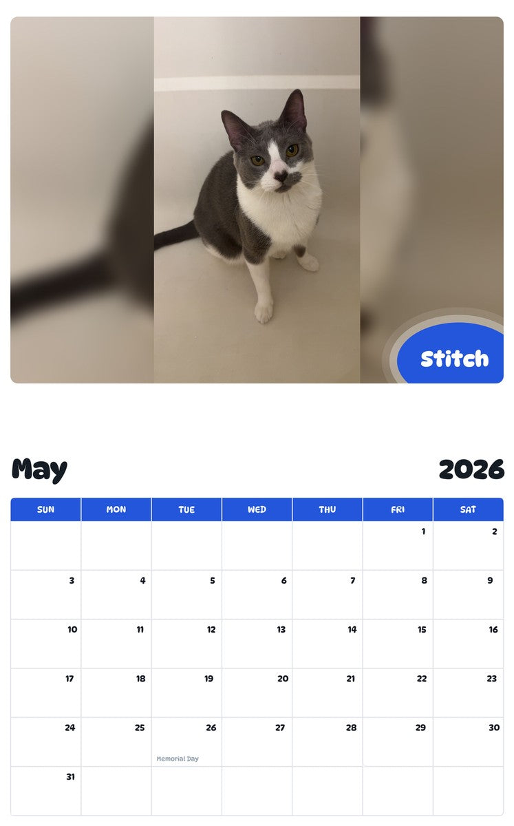 2026 - 2027 Stitch - Pawidols Pet Calendar