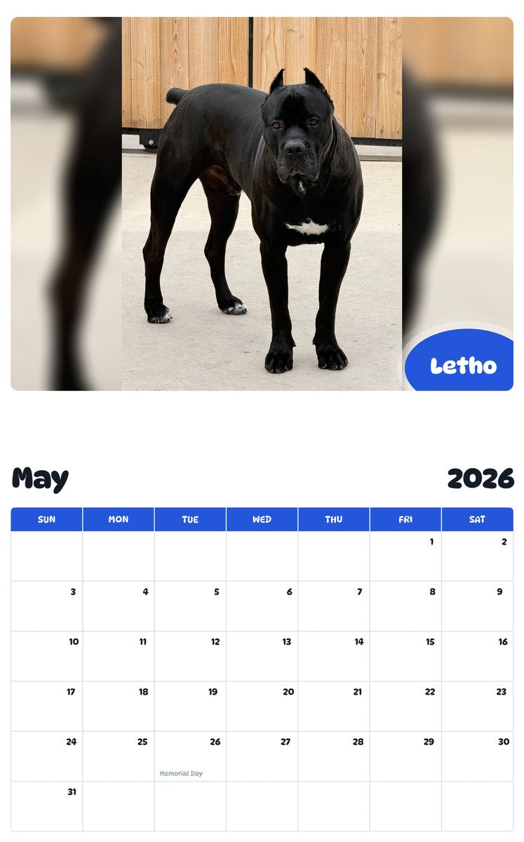 2026 - 2027 Letho - Pawidols Pet Calendar