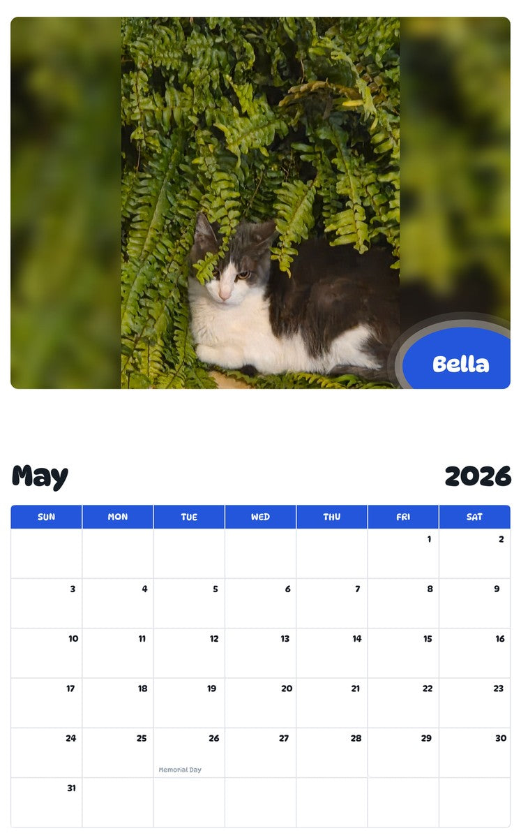 2026 - 2027 Bella - Pawidols Pet Calendar
