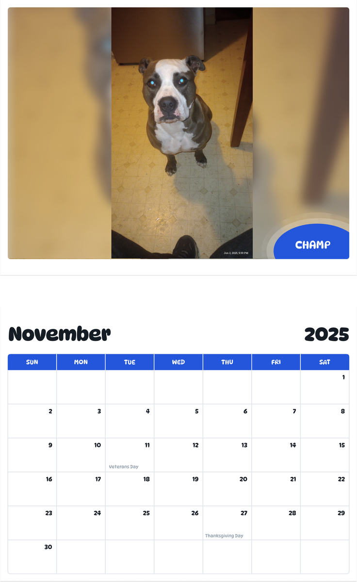 July 2025 - June 2026 Champ - Pawidols Pet Calendar