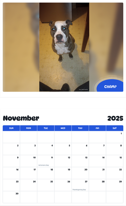 July 2025 - June 2026 Champ - Pawidols Pet Calendar