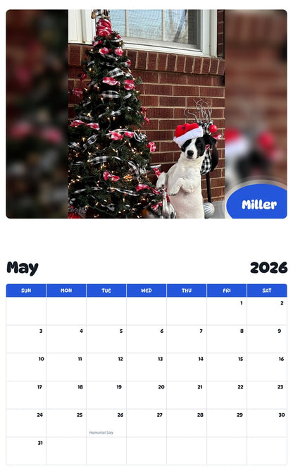 2026 - 2027 Miller - Pawidols Pet Calendar