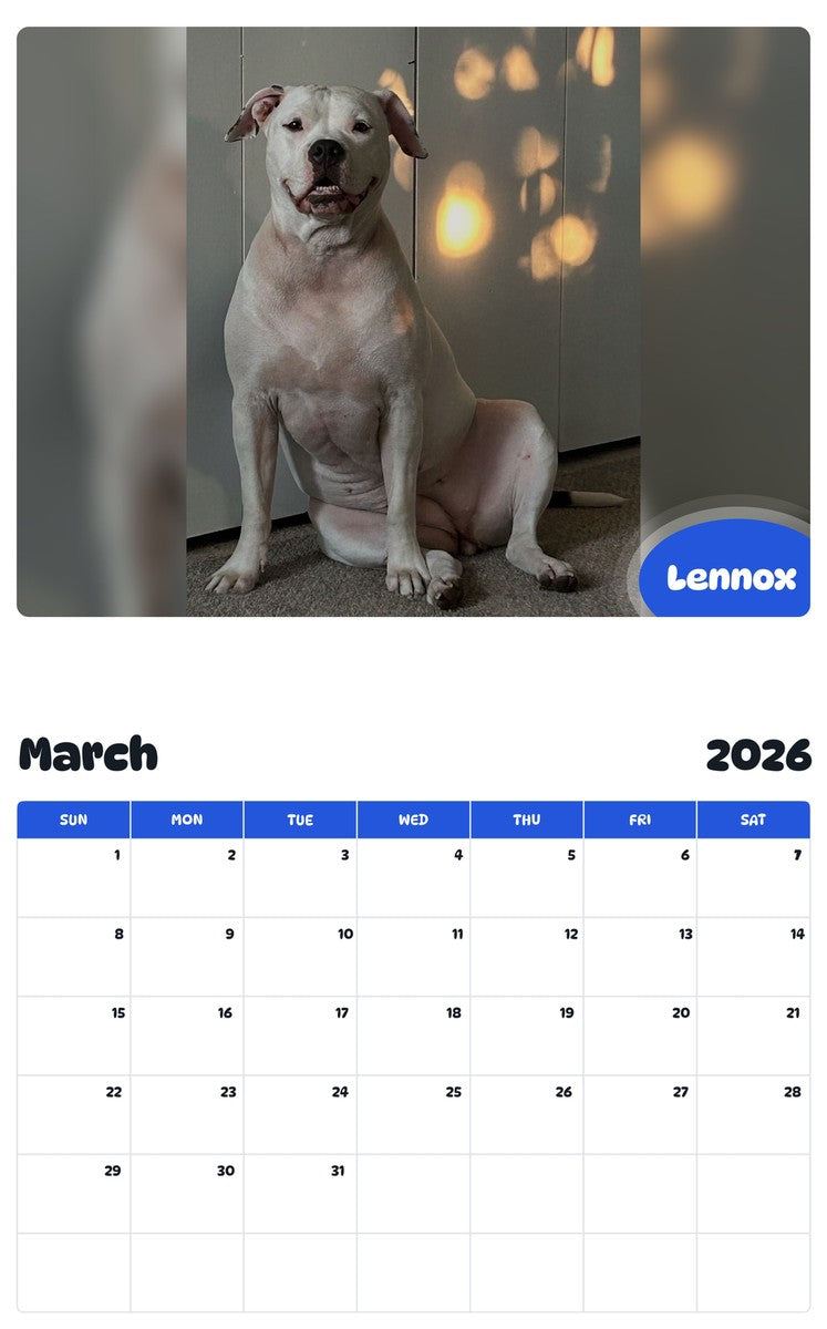 November 2025 - October 2026 Lennox - Pawidols Pet Calendar