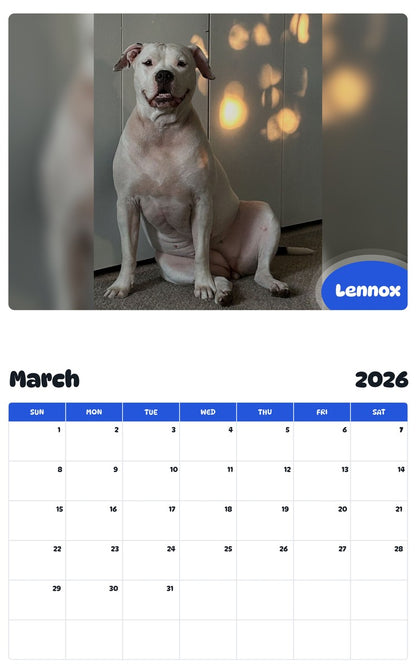 November 2025 - October 2026 Lennox - Pawidols Pet Calendar