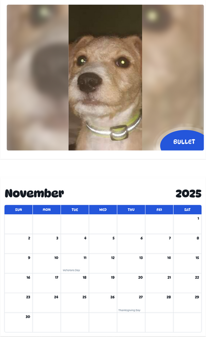 July 2025 - June 2026 Bullet - Pawidols Pet Calendar